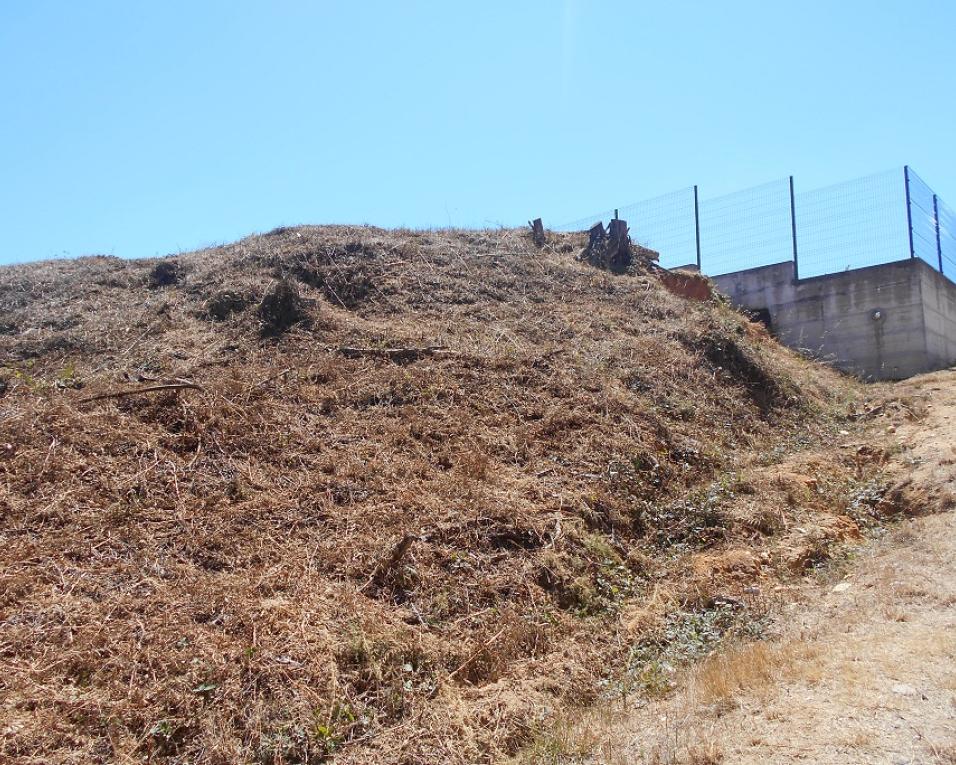 Oliveira do Bairro: Autarquia promove sessões de esclarecimento sobre limpeza de matos.
