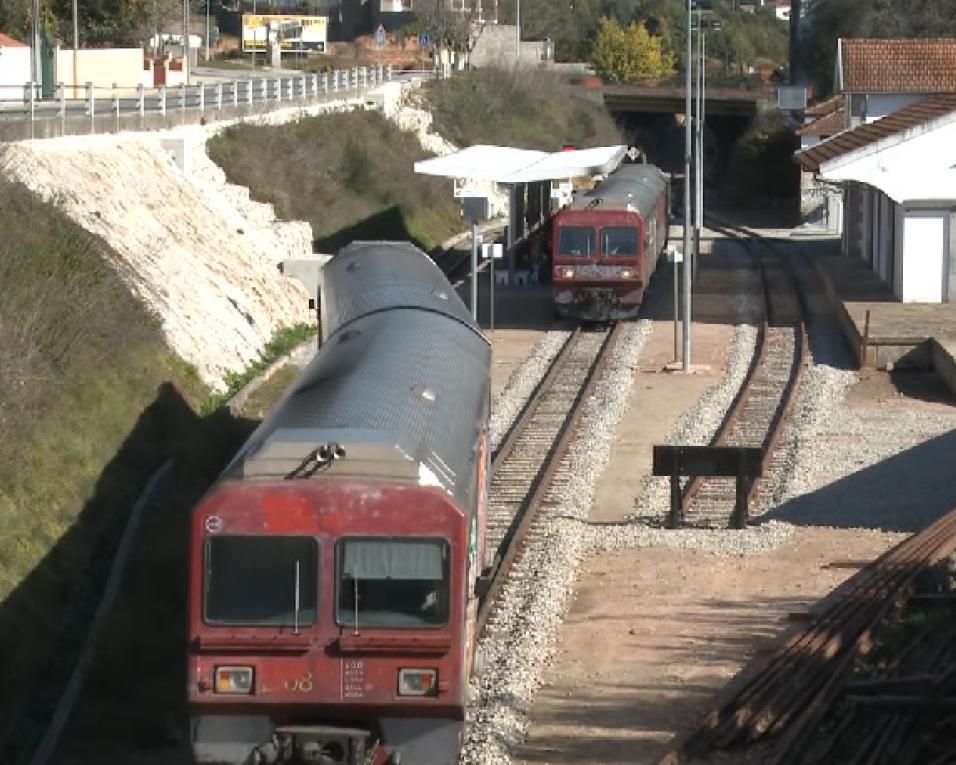 Helga Correia pede atenção especial às ligações do interior do distrito de Aveiro.