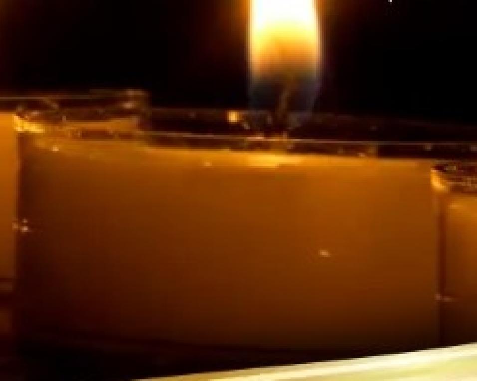 Aveiro recorda perda de crianças e jovens no evento Contos de Luz.
