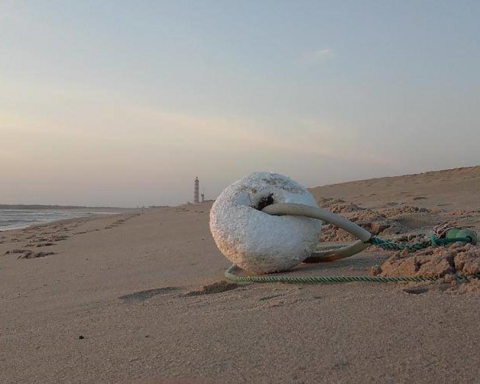 Ativistas do movimento “Não Lixes” em ação de limpeza nas praias de Ílhavo.