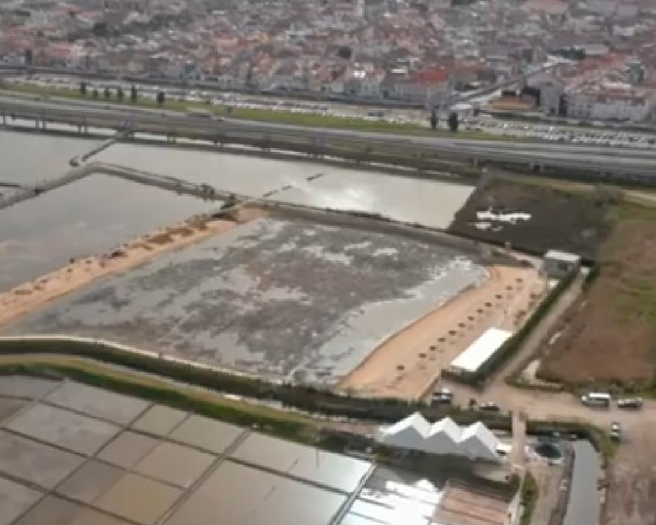aveiro é uma das cidades do mergulhao solidario