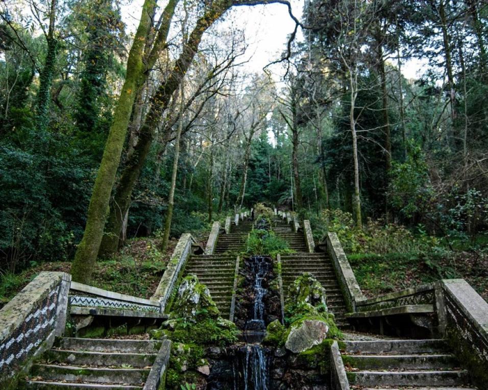  Luso acolhe congresso sobre potencial da floresta na saúde.