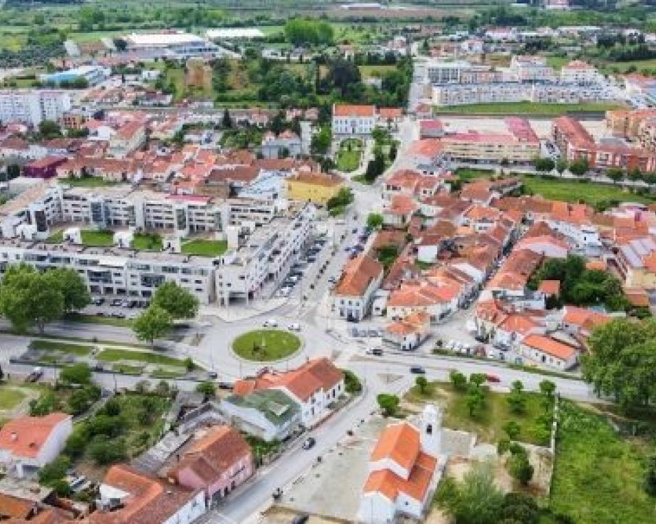 Mealhada: Município promove Semana da Floresta Autóctone.