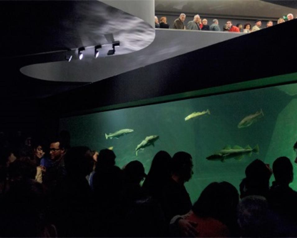 Museu Marítimo de Ílhavo celebra o Dia Internacional dos Museus com programação online.