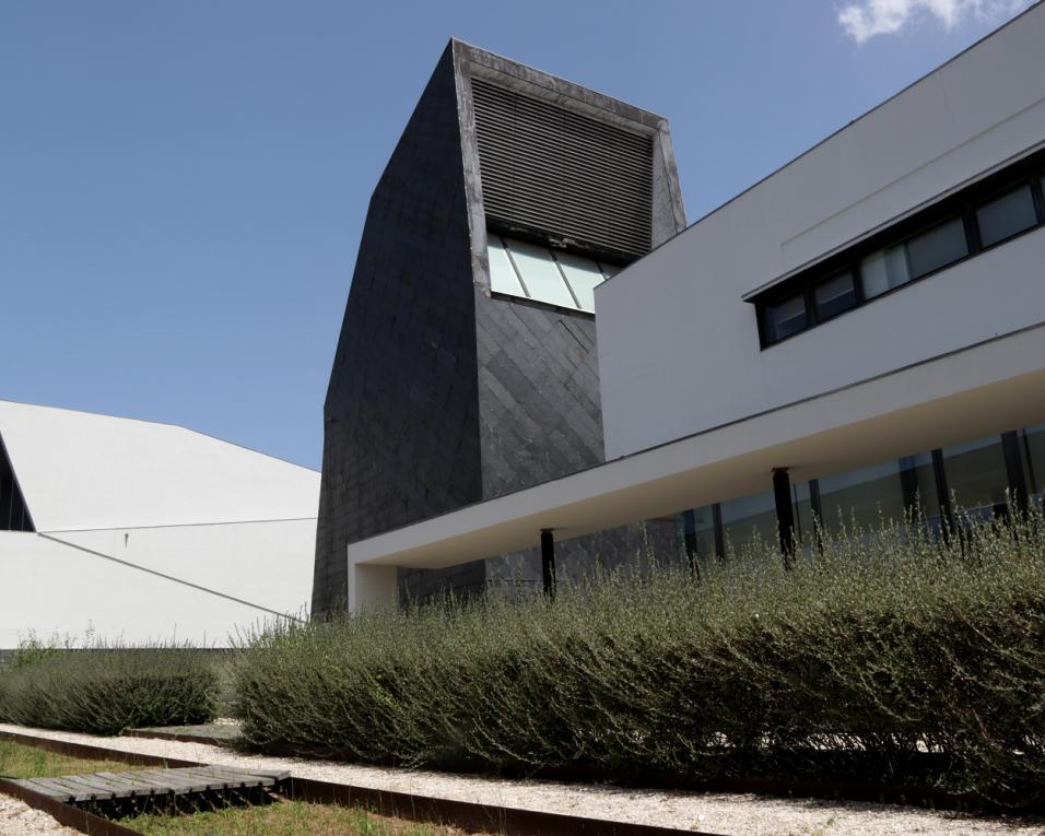 CASCI promove debate sobre infância, inclusão e deficiência.