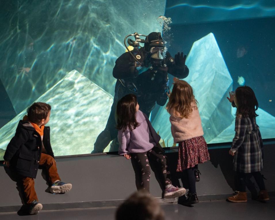 Museu Marítimo inicia programação dedicada ao Dia Nacional do Mar.