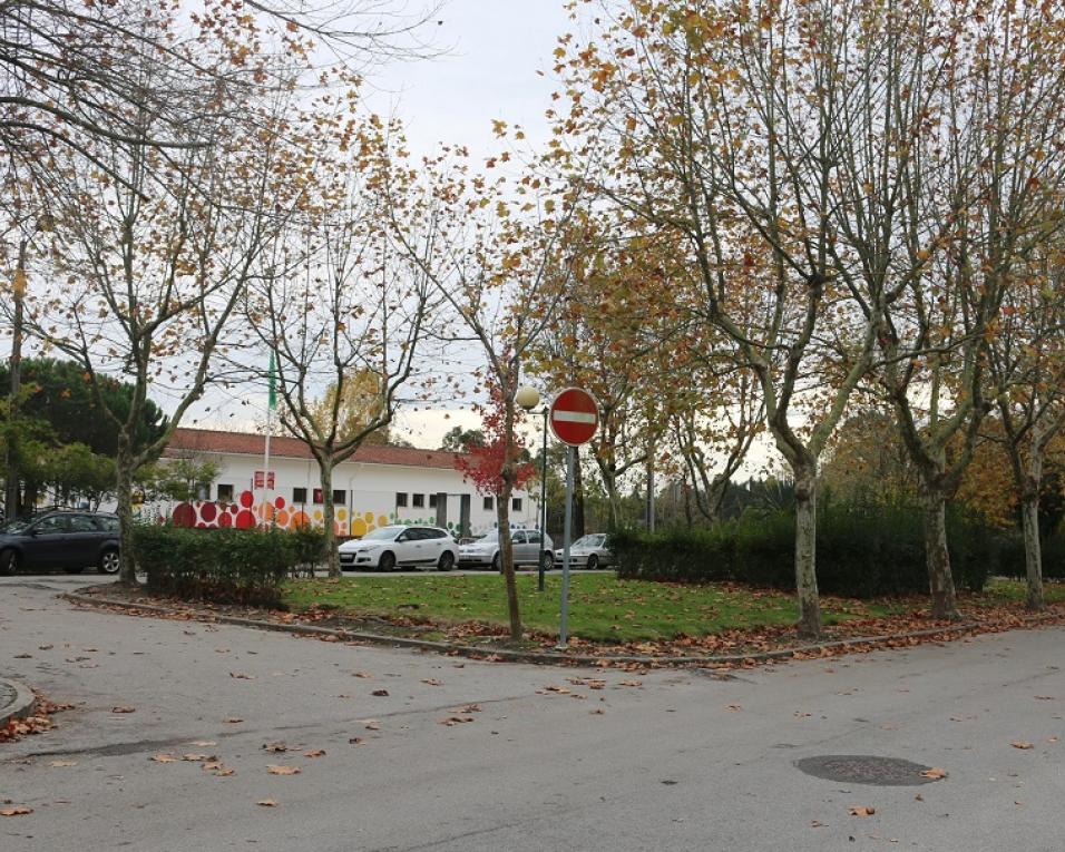 Aveiro: Autarquia investe em arranjos na urbanização dos Montes de Azurva.