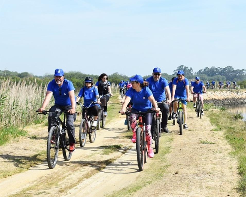 murtosa adia primavera ciclavel