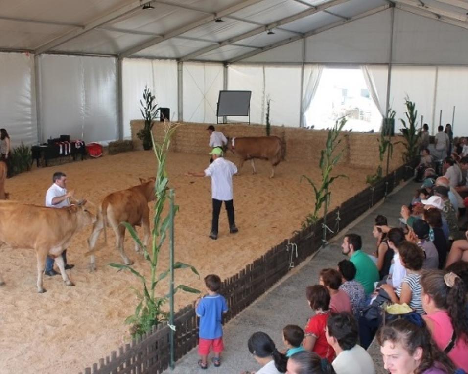 Feira Agrícola da Murtosa abre portas esta quinta.