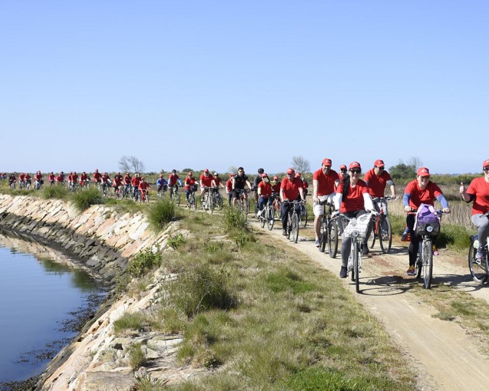 Murtosa: Primavera Ciclável abre inscrições para passeio de bicicleta.