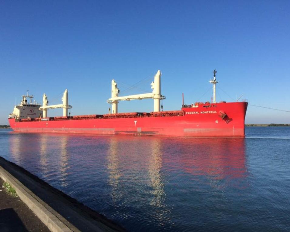 Porto de Aveiro bate novo máximo com navio de 200 metros.