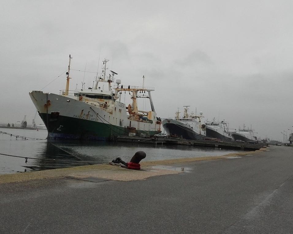 Aveiro: Senos da Fonseca fala sobre livro que evoca a história da pesca do bacalhau.