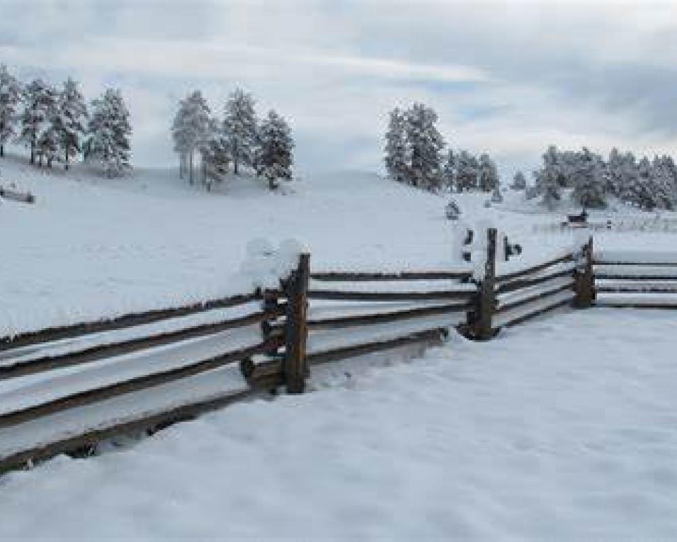 Temperatura do ar a descer até ao fim-de-semana. Estão ainda previstos aguaceiros, trovoadas e neve nas terras altas. Temperatura do ar a descer até ao fim-de-semana. Estão ainda previstos aguaceiros, trovoadas e neve nas terras altas.