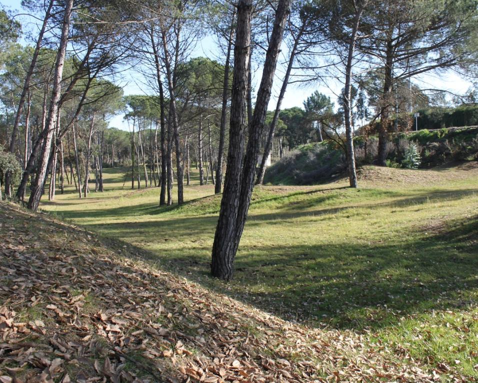 Oliveira do Bairro: 'Parque da Cidade' é aposta na adaptação às alterações climáticas.