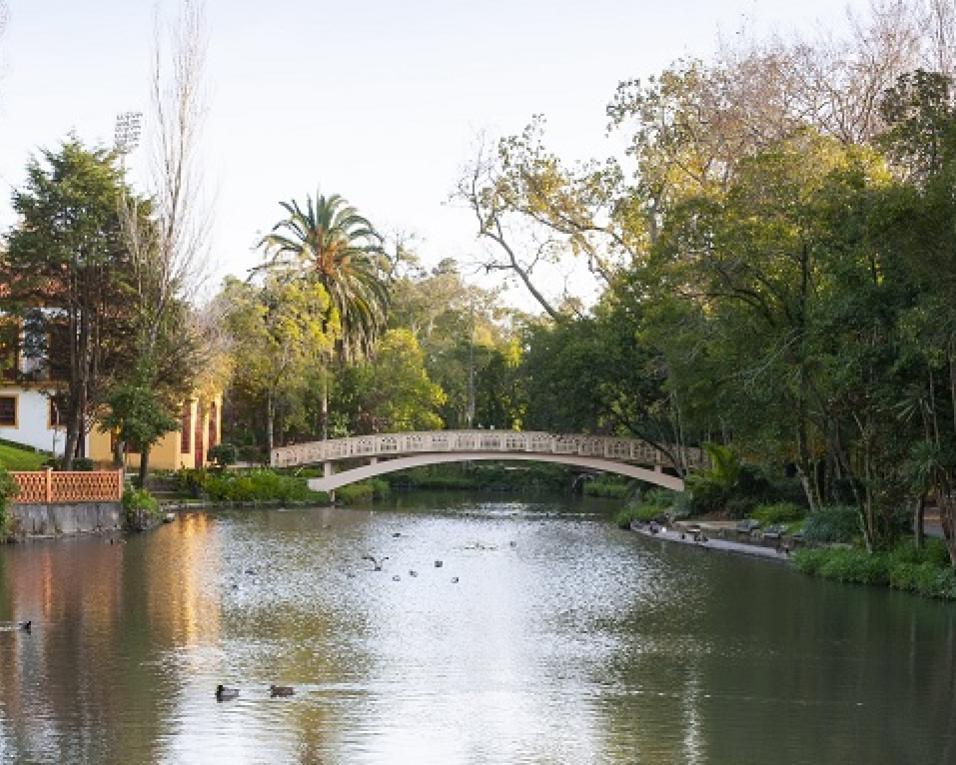 Aveiro: Autarquia confirma investimento na substituição de ponte no Parque Infante D. Pedro e substituição de equipamentos.