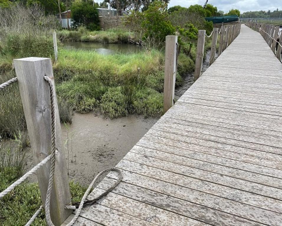 ASPEA pede atenção à conservação dos passadiços de Esgueira.