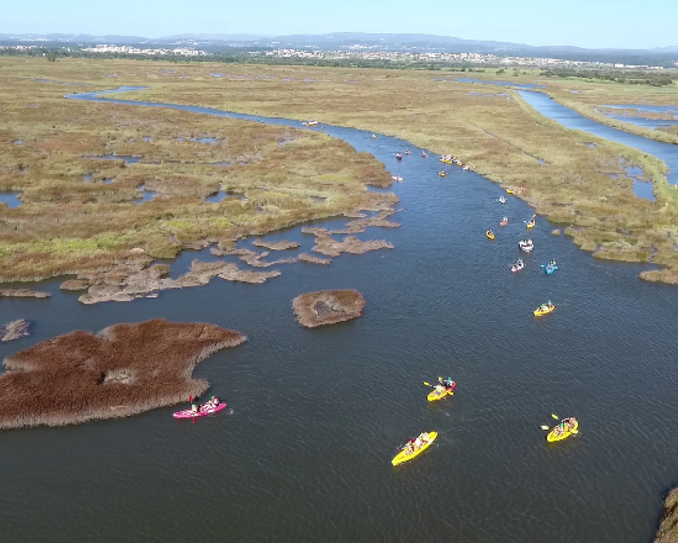 Passeio pelas Ribeiras de Veiros em Kayak marcado para esta tarde.