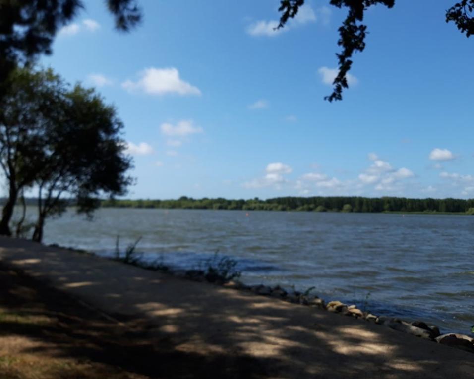 Quercus promove passeio de bicicleta nas margens da Pateira de Fermentelos.