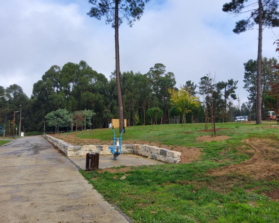 Anadia tem em marcha plano de arborização.