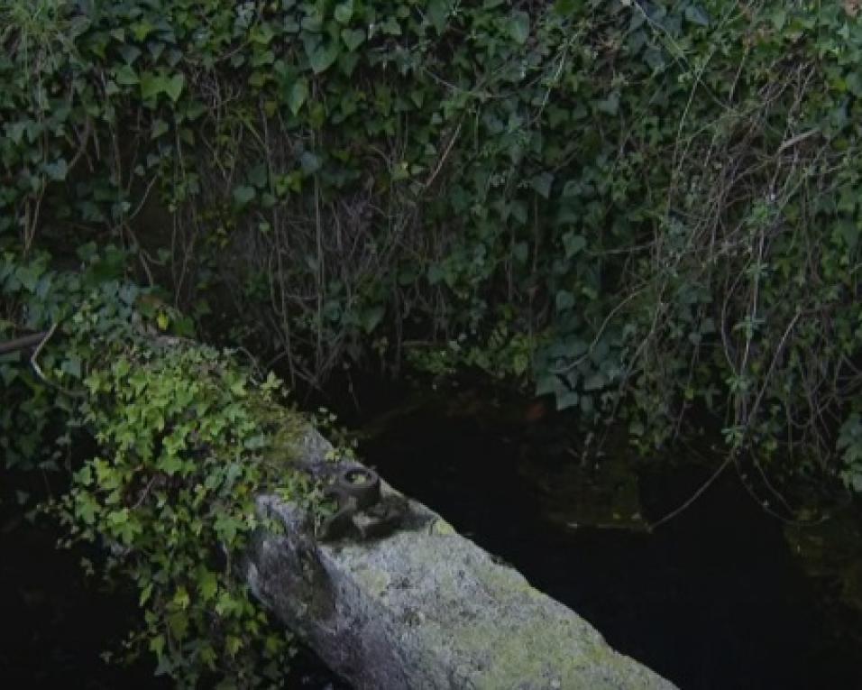 Corpo encontrado em poço de Ovar não será de grávida da Murtosa.