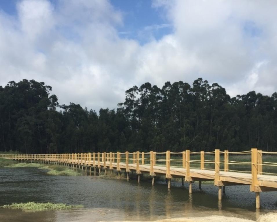 Novos passadiços em Vagos e Aveiro são inaugurados este domingo.