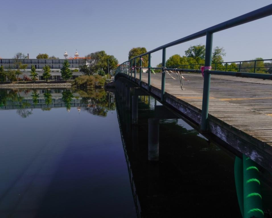 Vista Alegre: Autarquia aprova concurso de ideias para a ponte. Oposição diz que falta decisão política prévia.  