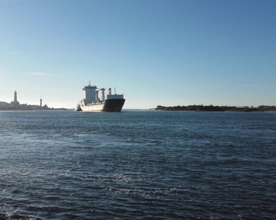 Região Centro é determinante no futuro da 'Economia do Mar'.
