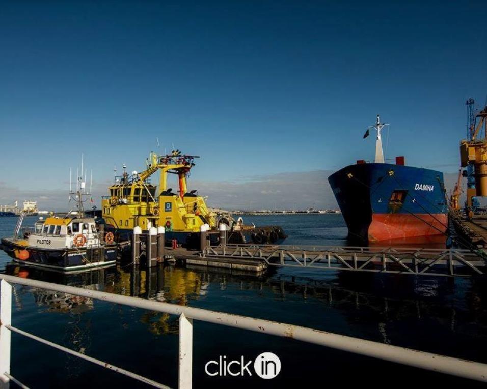 Porto de Aveiro promove debate sobre descarbonização.