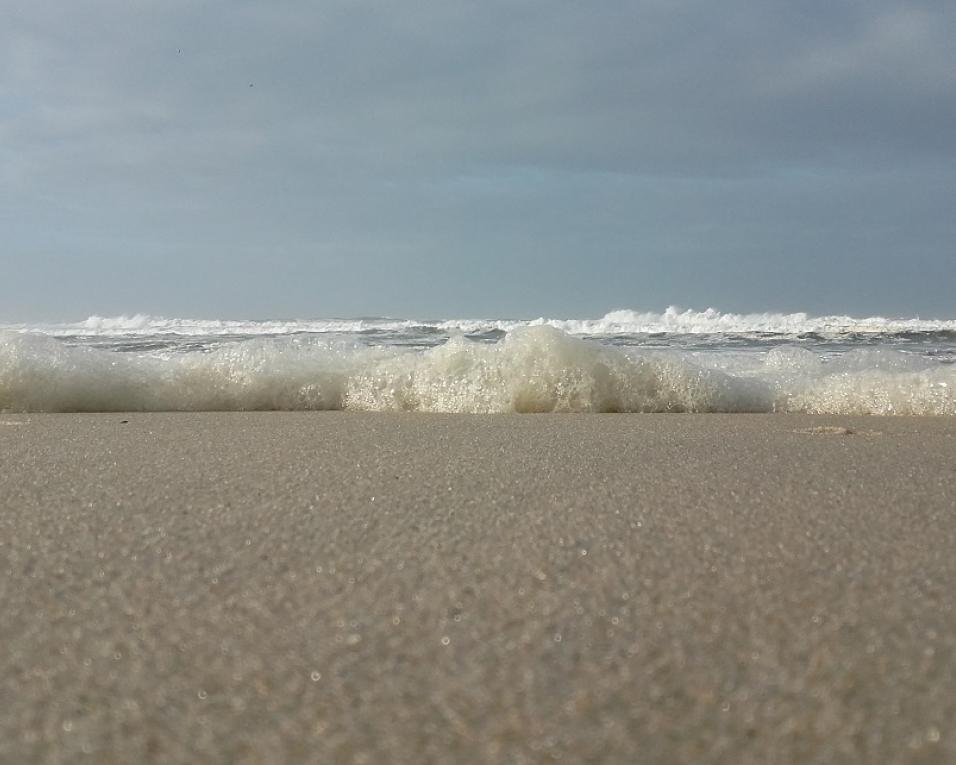 Fábrica Centro Ciência Viva de Aveiro assinala o Dia Nacional do Mar.