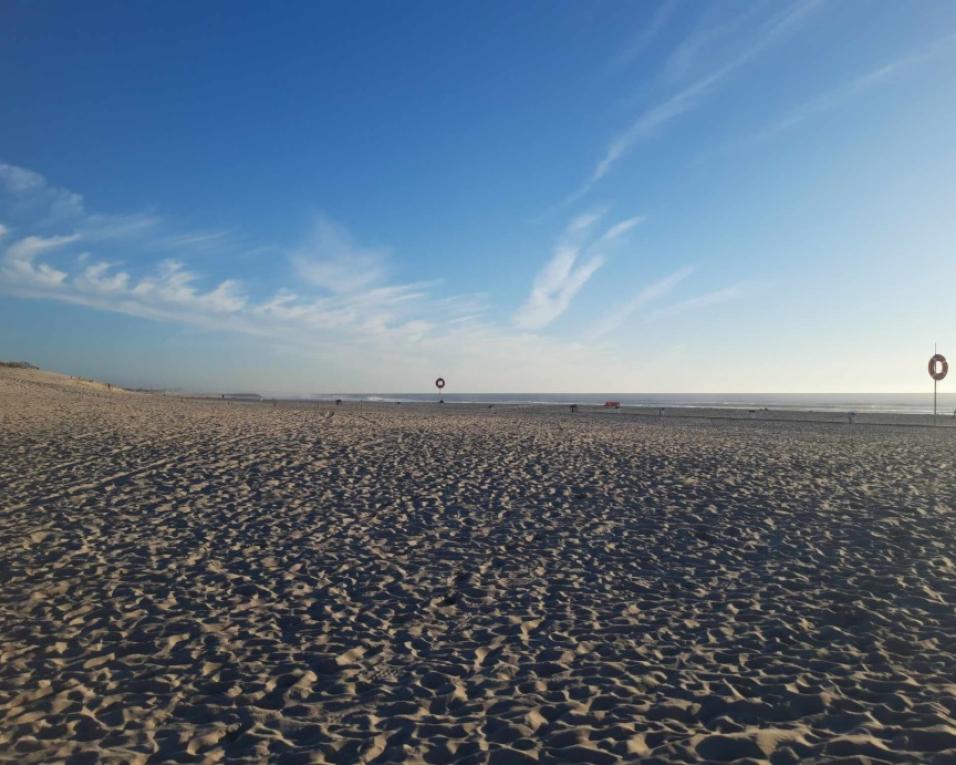 Ílhavo, Vagos e Mira garantem apoios para intervenções nas praias.
