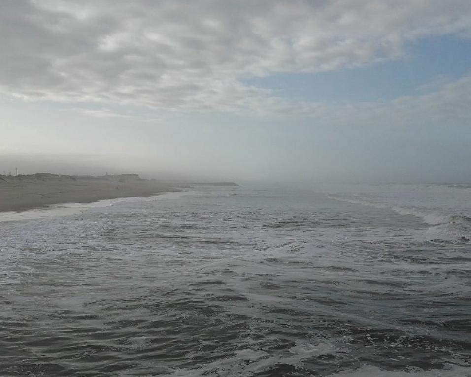 Ílhavo: Respeito ambiental nas praias está salvaguardado - Fernando Caçoilo.