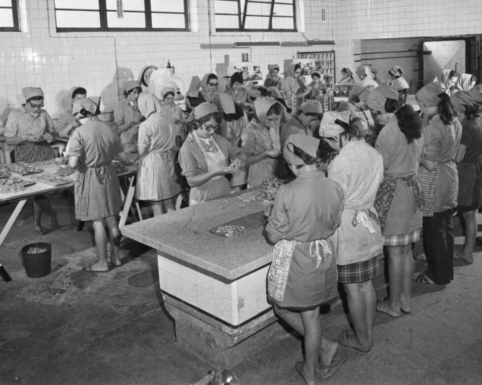 COMUR recebe a exposição “Conserveira com história”.