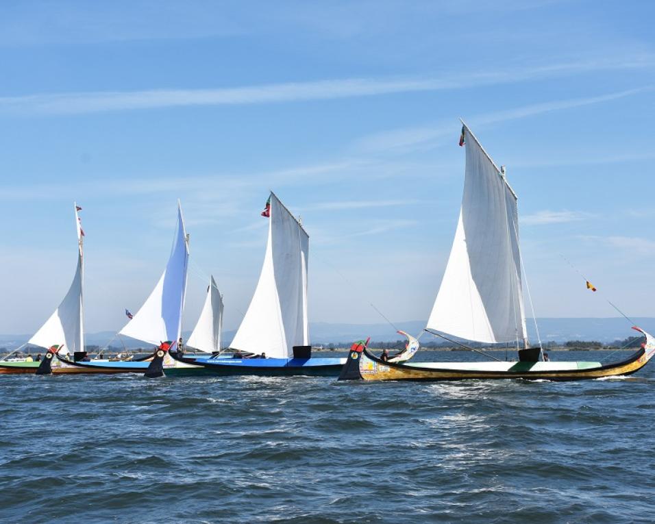 Dia de Regata de Moliceiros nas festas do São Paio da Torreira.