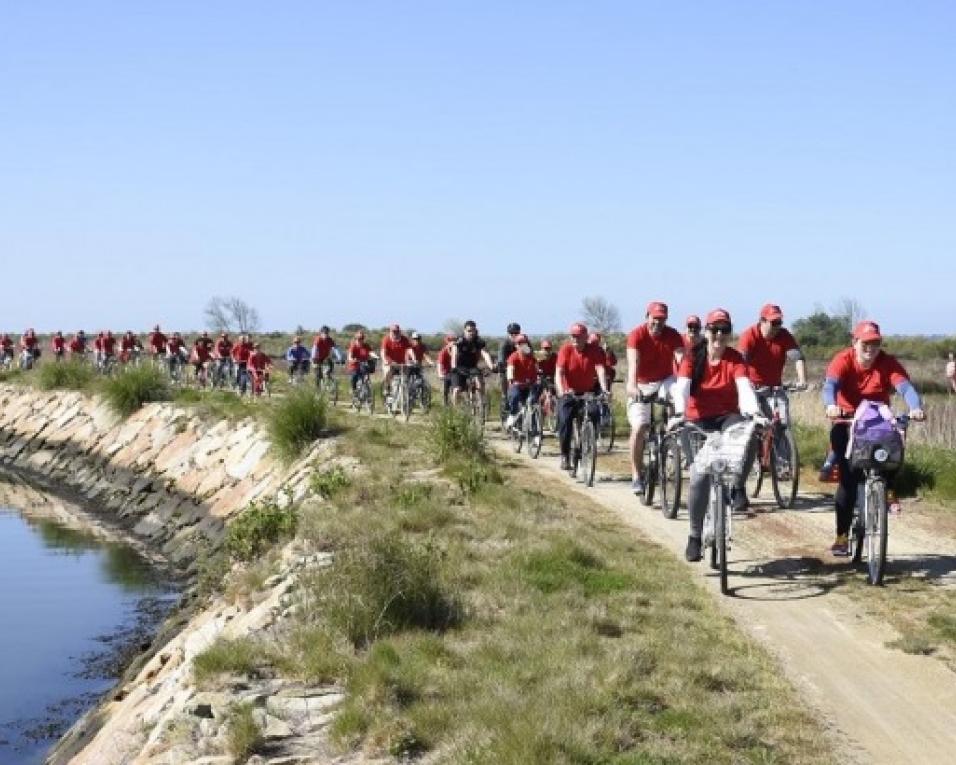 Murtosa: Passeio Primavera Ciclável agendado para este domingo.