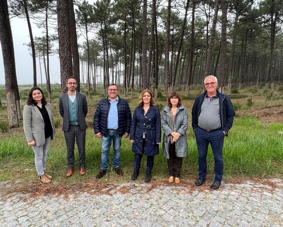 Deputados do PS visitam áreas de abate no perímetro florestal de Ovar. 