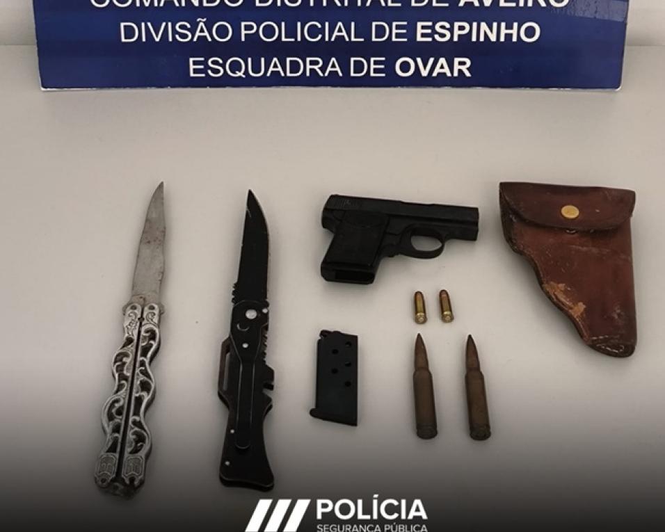 psp apreende armas em processo por violencia domestica