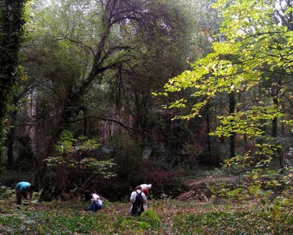 Quercus com projeto para apoiar a defesa de pequenas manchas de floresta autóctone. Quercus com projeto para apoiar a defesa de pequenas manchas de floresta autóctone.