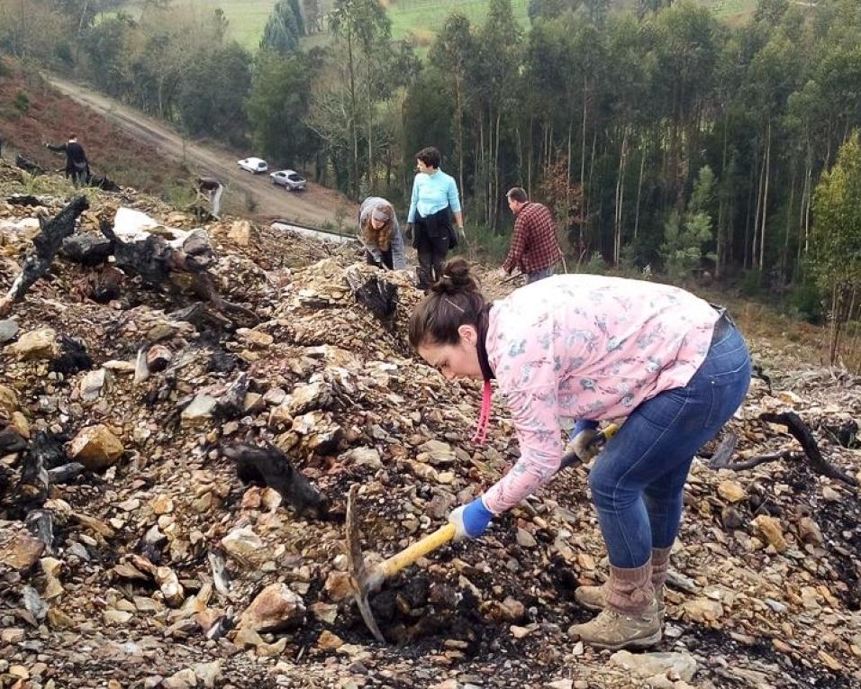 Quercus promove plantação no Cabeço do Santo.
