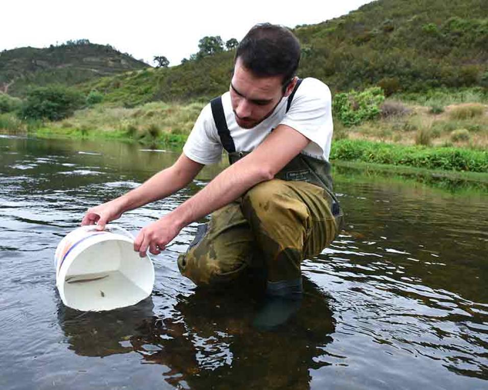 Quercus em ações de educação ambiental em Águeda.