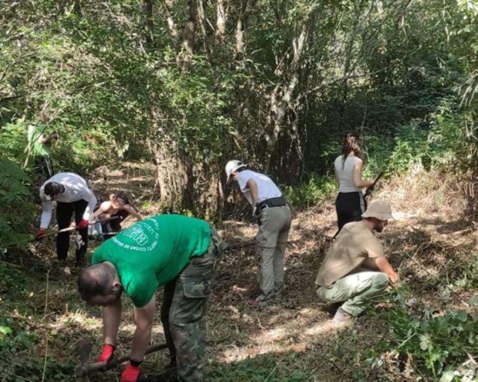campo de voluntariado ajuda à recuperacao da quinta ecologica da moita