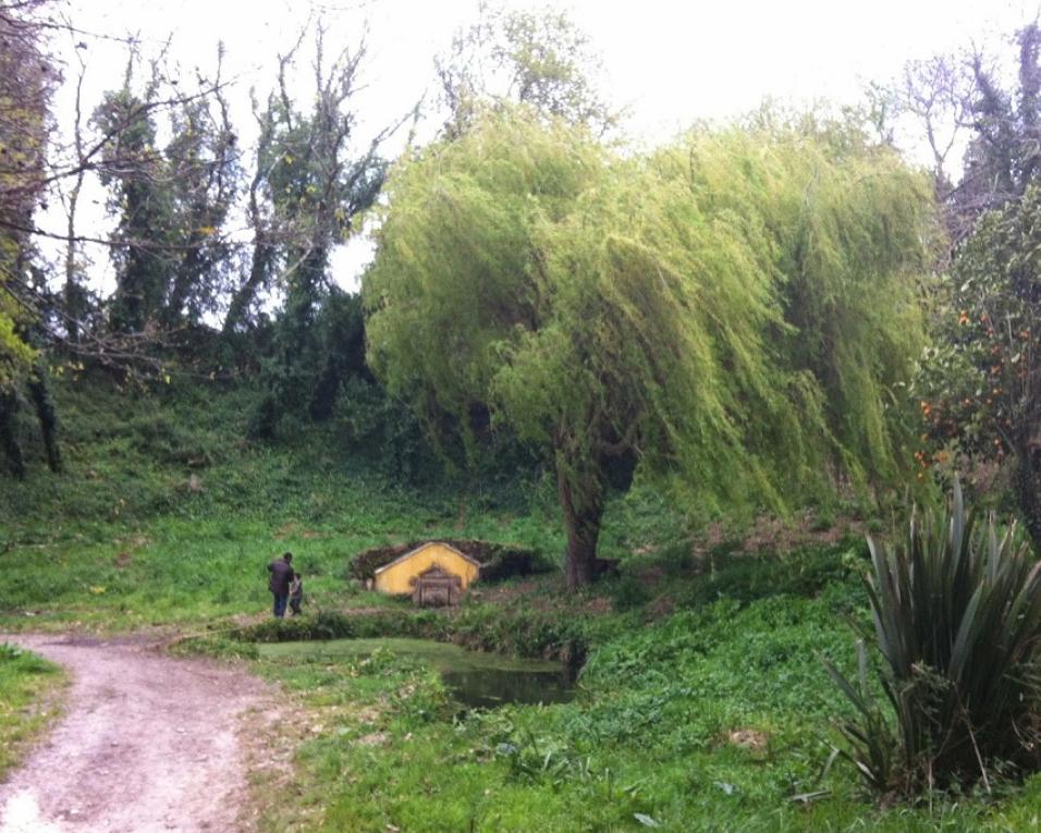 Oliveirinha: Voluntariado ambiental cuida da Quinta Ecológica da Moita.