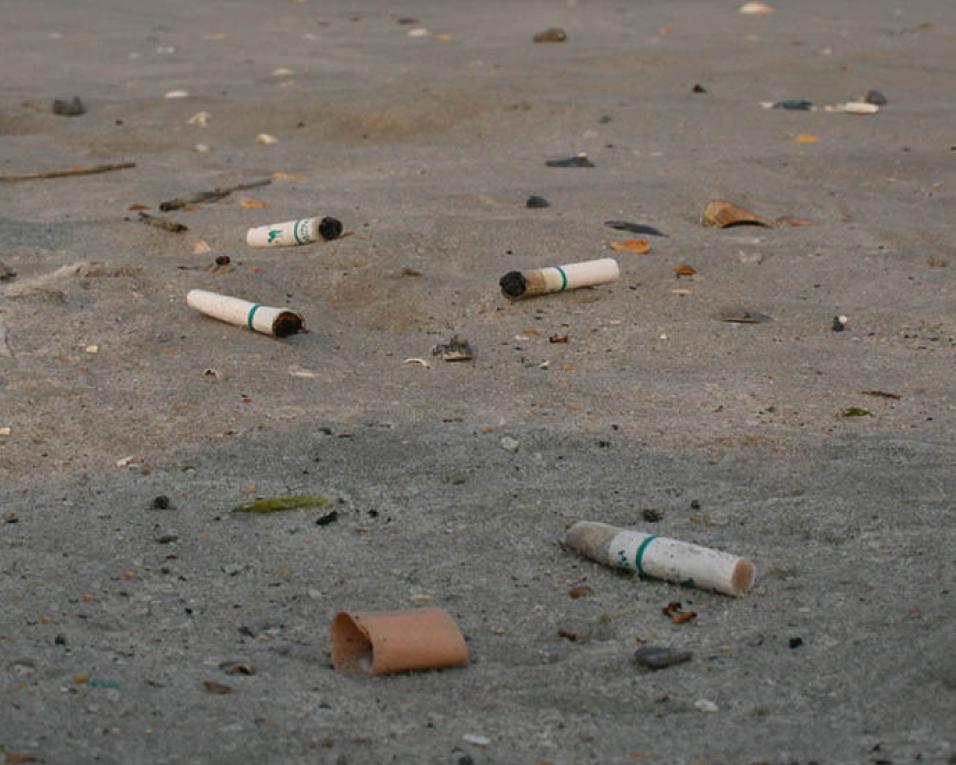 'Caça à Beata na Praia da Barra' é já este sábado (10h00).