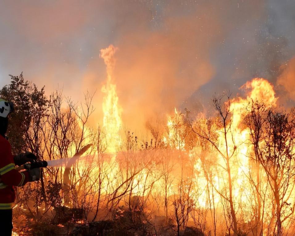 Detido presumível autor dos crimes de incêndio florestal em Anadia.