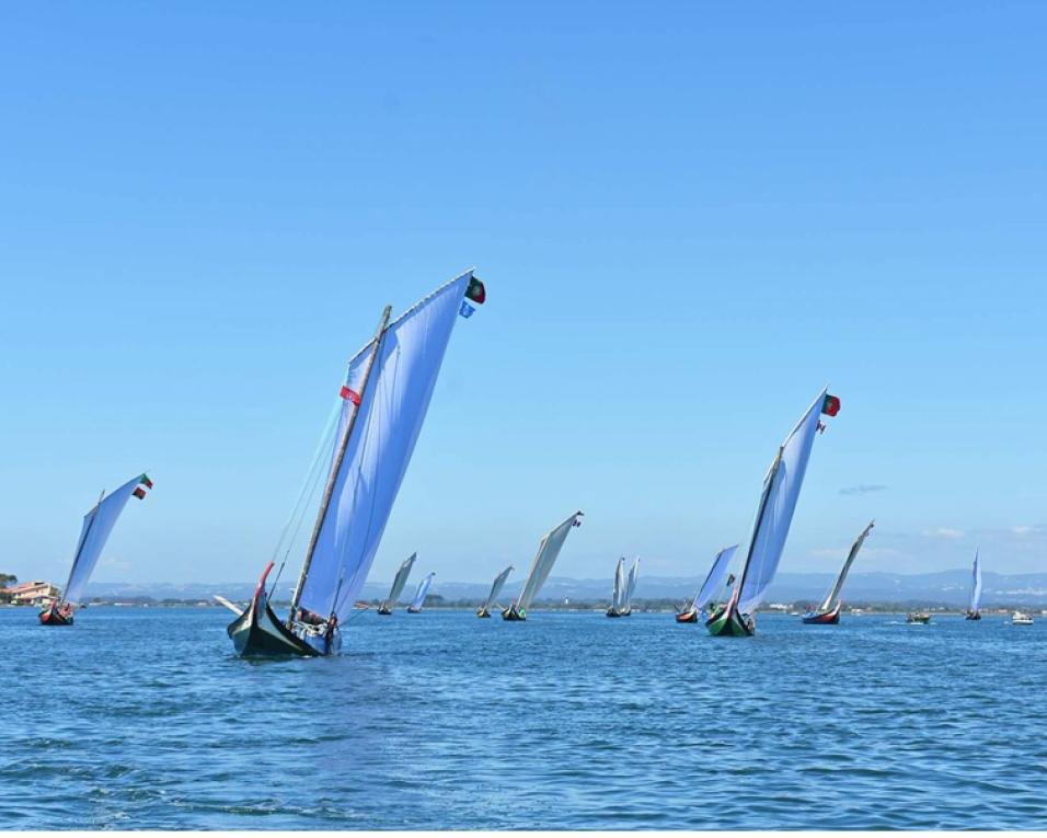 José Rito vence regata de moliceiros