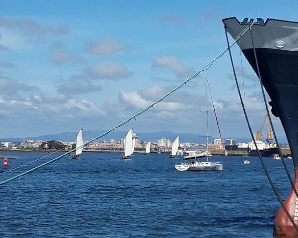 Marco Silva triunfa na Regata de Moliceiros. Marco Silva triunfa na Regata de Moliceiros.