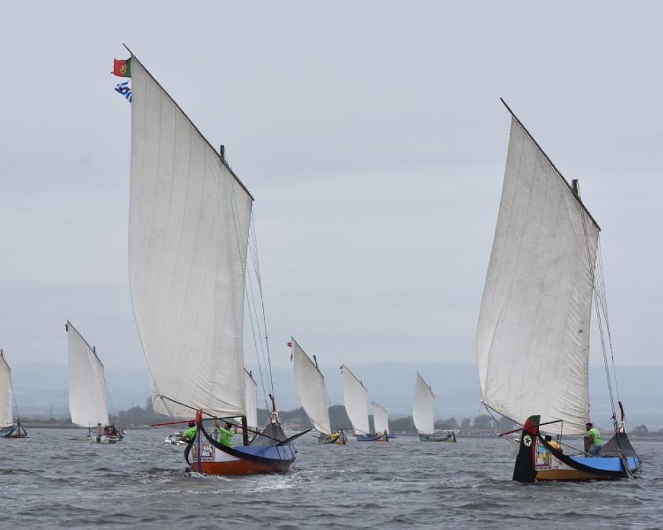 Música esta sexta e regata de moliceiros no sábado no Ria de Aveiro Weekend.