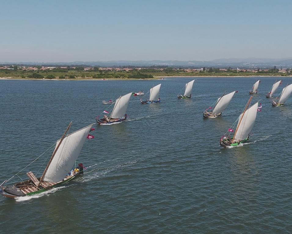 Murtosa: Regata de moliceiros dedicada aos emigrantes.