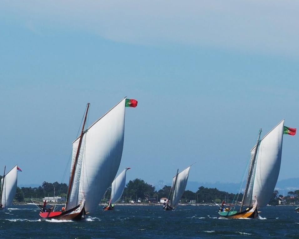 Zé Rito vence regata de moliceiros em dia de aniversário.