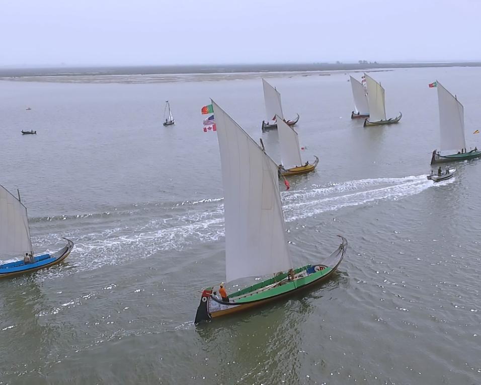 Regata de Moliceiros leva animação à ria.