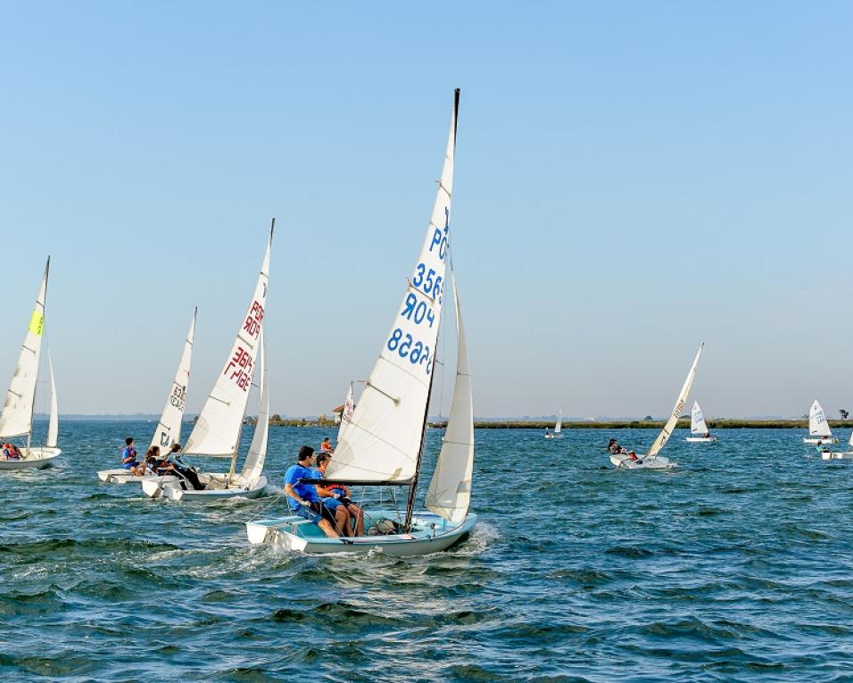 Aveiro: “Regata de Vela Solidária” do Rotary inclui ação de educação ambiental.